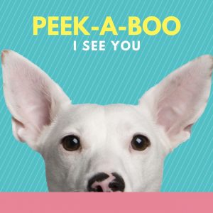 Cards - General - A7 (74 x 105mm) R10